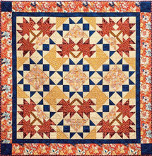 Load image into Gallery viewer, Clever Combo Quilts