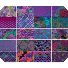 Load image into Gallery viewer, Kaffe Fassett Classics - Emperor 20pc Fat Quarter