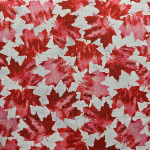 Maple Leaf on White