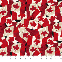 Load image into Gallery viewer, Canadian Classics 3 - Flags, Black
