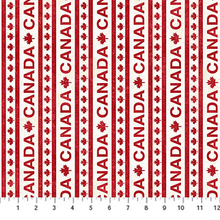 Load image into Gallery viewer, Canadian Classics 3 - Canada Stripe
