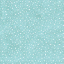 Load image into Gallery viewer, Holly Jolly - Snowflake, Turquoise
