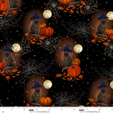 Load image into Gallery viewer, Harvest Haunt - Black Cats with Witch Hats and Pumpkins, Black
