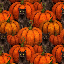 Load image into Gallery viewer, Harvest Haunt - Pumpkins &amp; Black Cats, Orange
