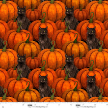 Load image into Gallery viewer, Harvest Haunt - Pumpkins &amp; Black Cats, Orange
