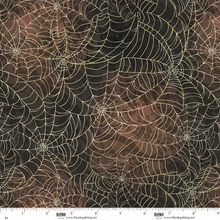 Load image into Gallery viewer, Harvest Haunt - Spider Web with Shadows, Charcoal
