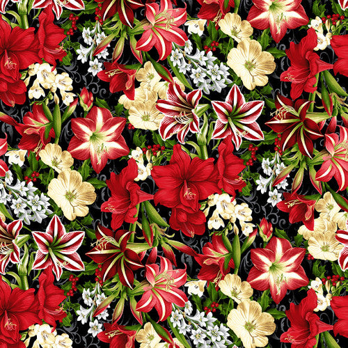 'Tis the Season - Amaryllis, Black