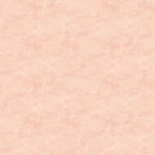 Load image into Gallery viewer, Toscana - Ballet Slipper
