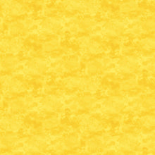 Load image into Gallery viewer, Toscana - Sunflower
