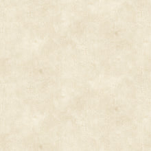 Load image into Gallery viewer, Crackle - Bamboo
