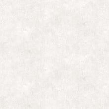 Load image into Gallery viewer, Crackle - Whitewash

