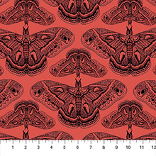 Load image into Gallery viewer, Indelible Ink - Cecropia, Guava
