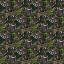 Load image into Gallery viewer, Little Rascals - Raccoons
