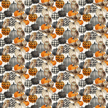 Load image into Gallery viewer, Night Owl - Owl &amp; Pumpkin, Cream
