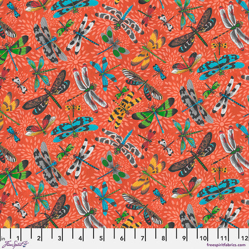 Dragonflies, Tangerine