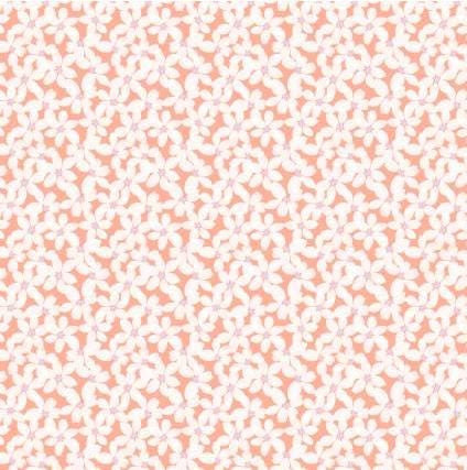 Daisy & Lilly - Daisies, Coral