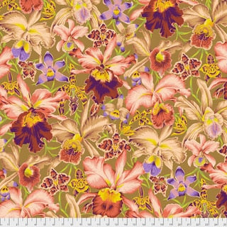 Orchids - Brown