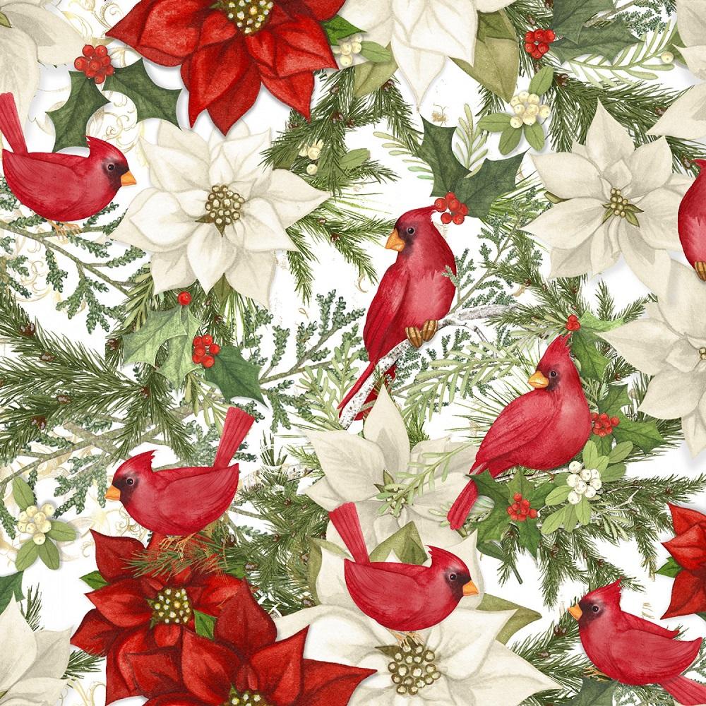 Cardinal & White Poinsettias