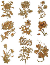 Load image into Gallery viewer, Floriani Embroidery Design Collection - Stems for Every Season by Walter Floriani
